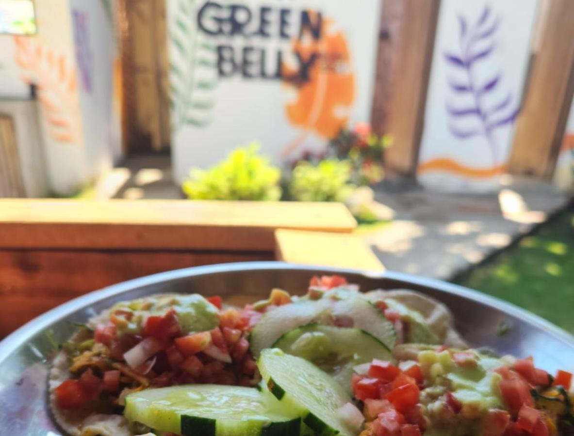 Green Belly Surf Hostel El Paredón Buena Vista Eksteriør billede